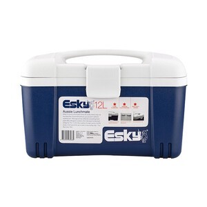 ESKY 保温箱商用家用车用 便携式车载冷藏箱冰块保存箱 户外冰桶海鲜保鲜箱外卖箱 12L（PU材质）送：2冰板+4冰袋
