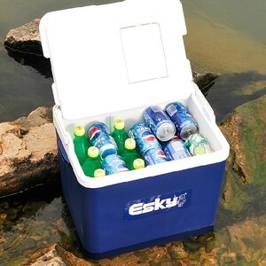 ESKY 保温箱商用家用车用 便携式车载冷藏箱冰块保存箱 户外冰桶海鲜保鲜箱外卖箱 12L（PU材质）送：2冰板+4冰袋