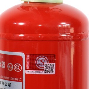 神龙 灭火器 干粉灭火器1公斤 车载家用灭火器1kg MFZ/ABC1 消防器材